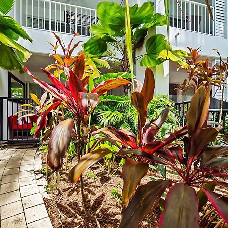 Beach Club Private Apartments Palm Cove Rom bilde