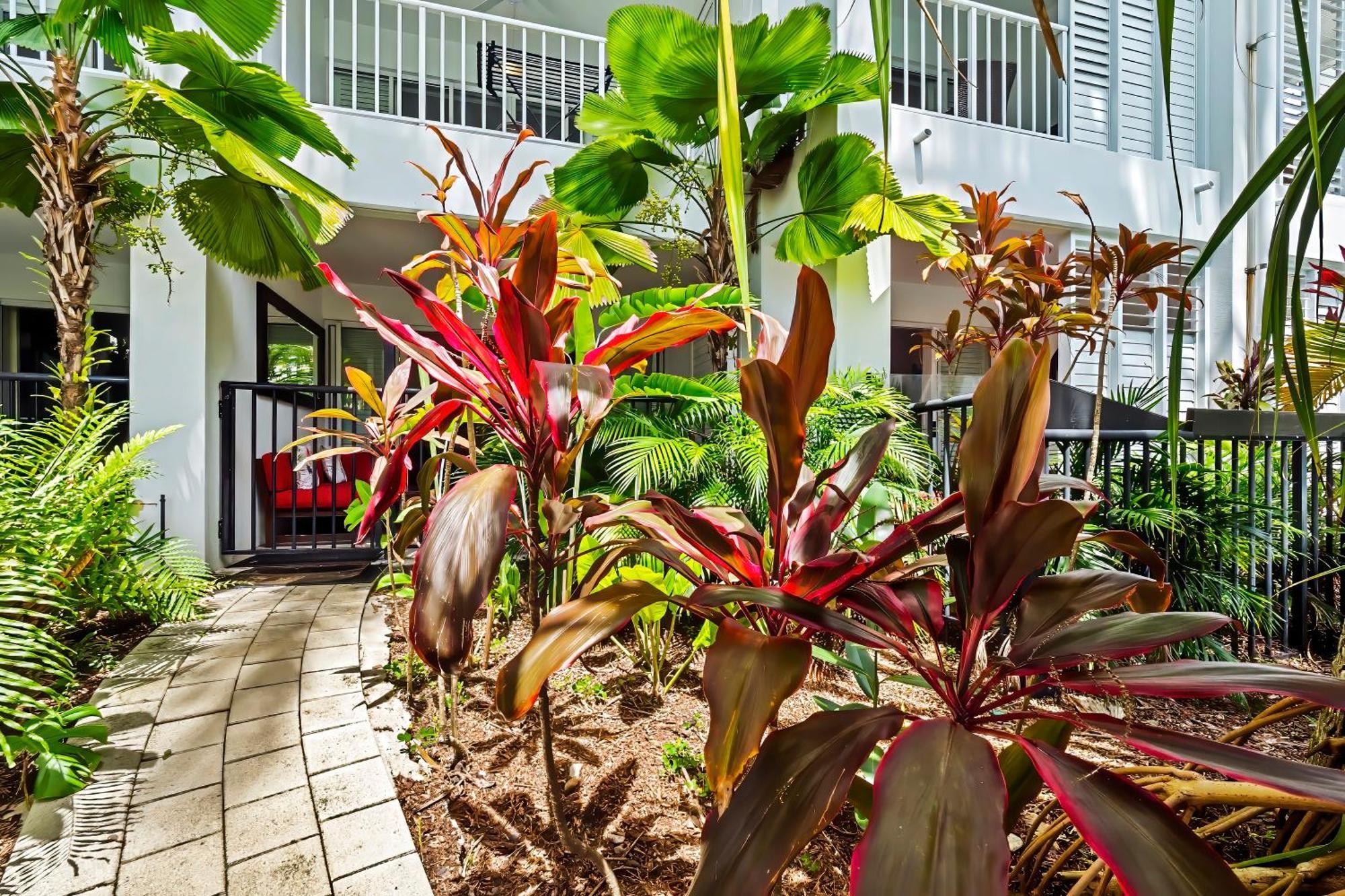 Beach Club Private Apartments Palm Cove Rom bilde